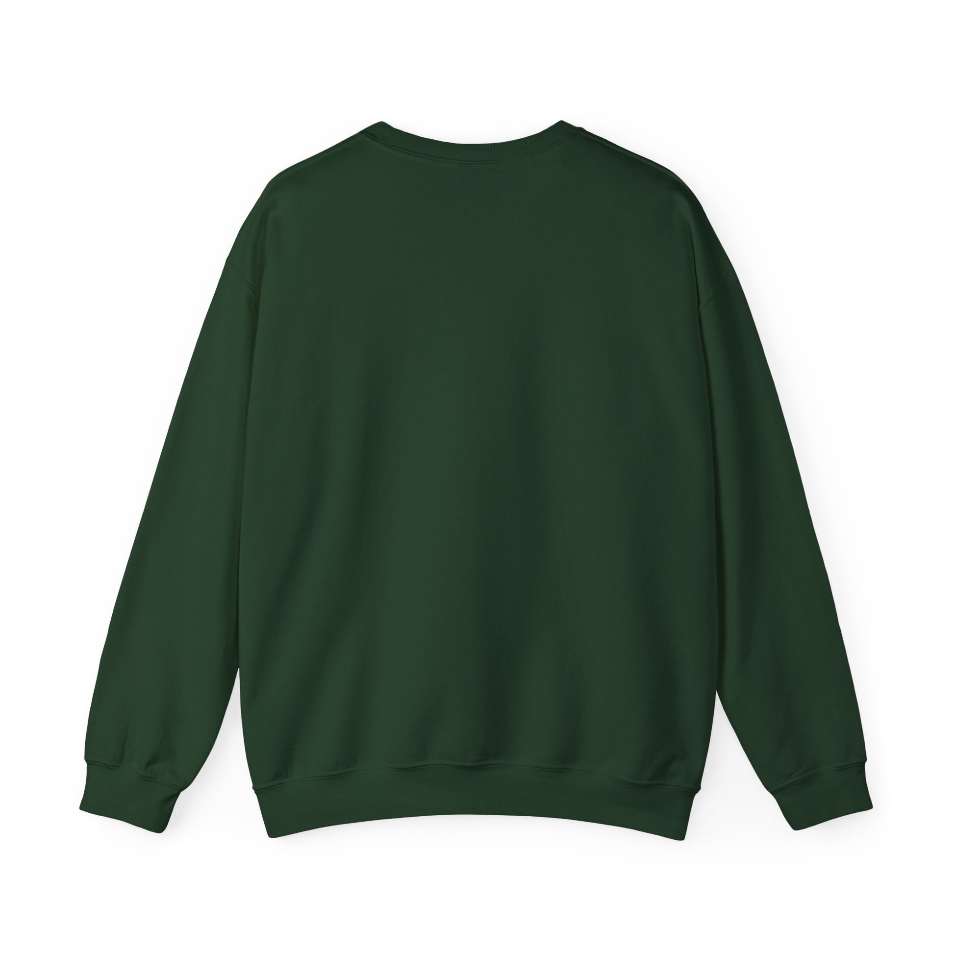 funny crewneck sweatshirt for women, green sweatshirt, back image